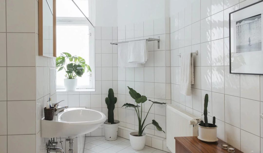 Our Guide for Cleaning the Walls Perfectly